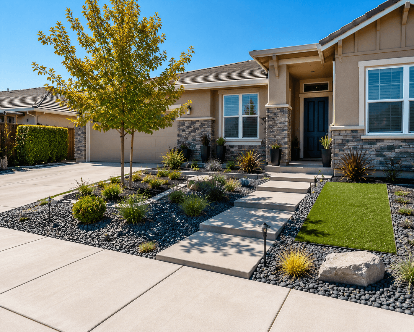 Drought-tolerant plants Sacramento