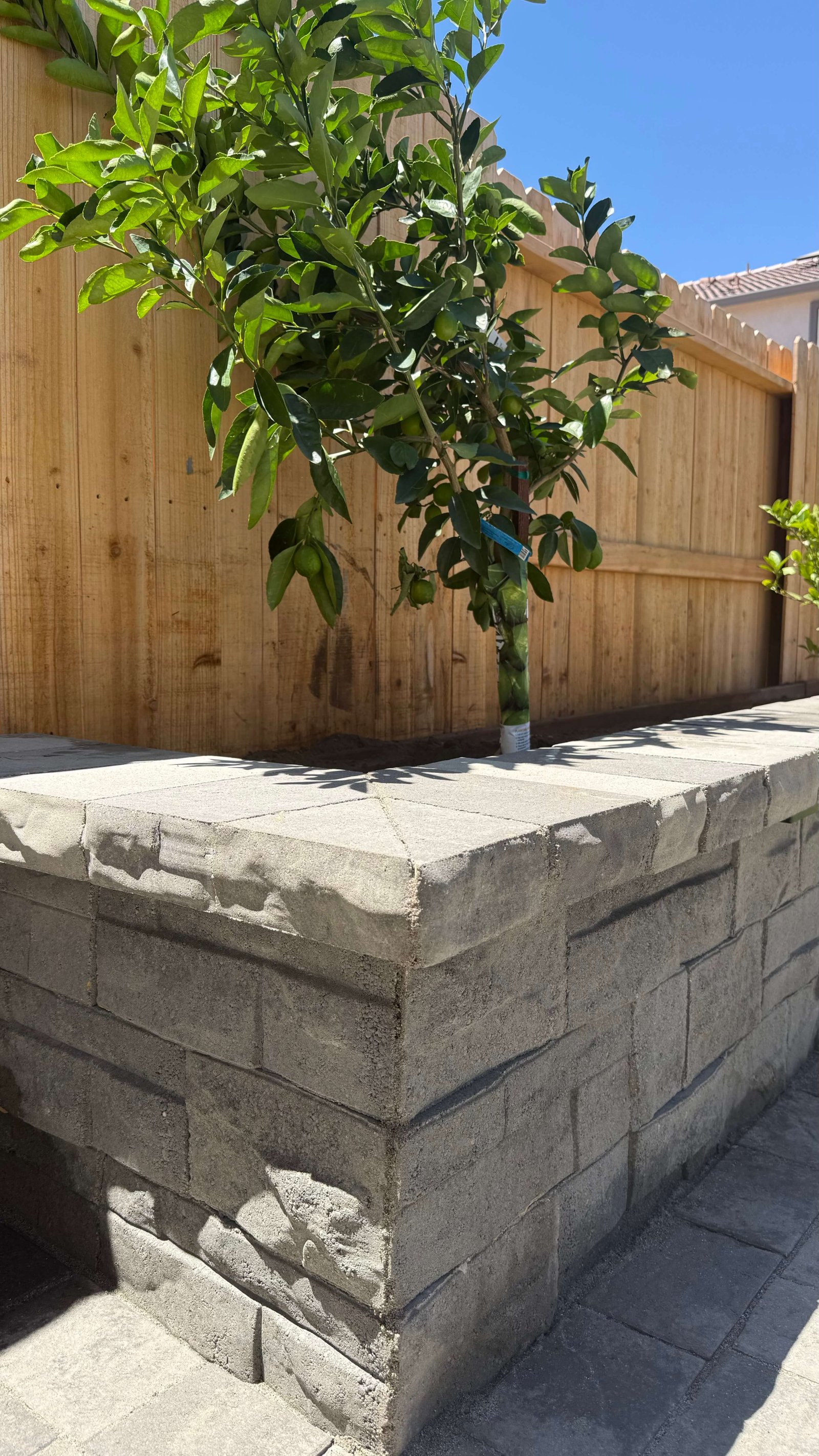 Sacramento Landscape Design