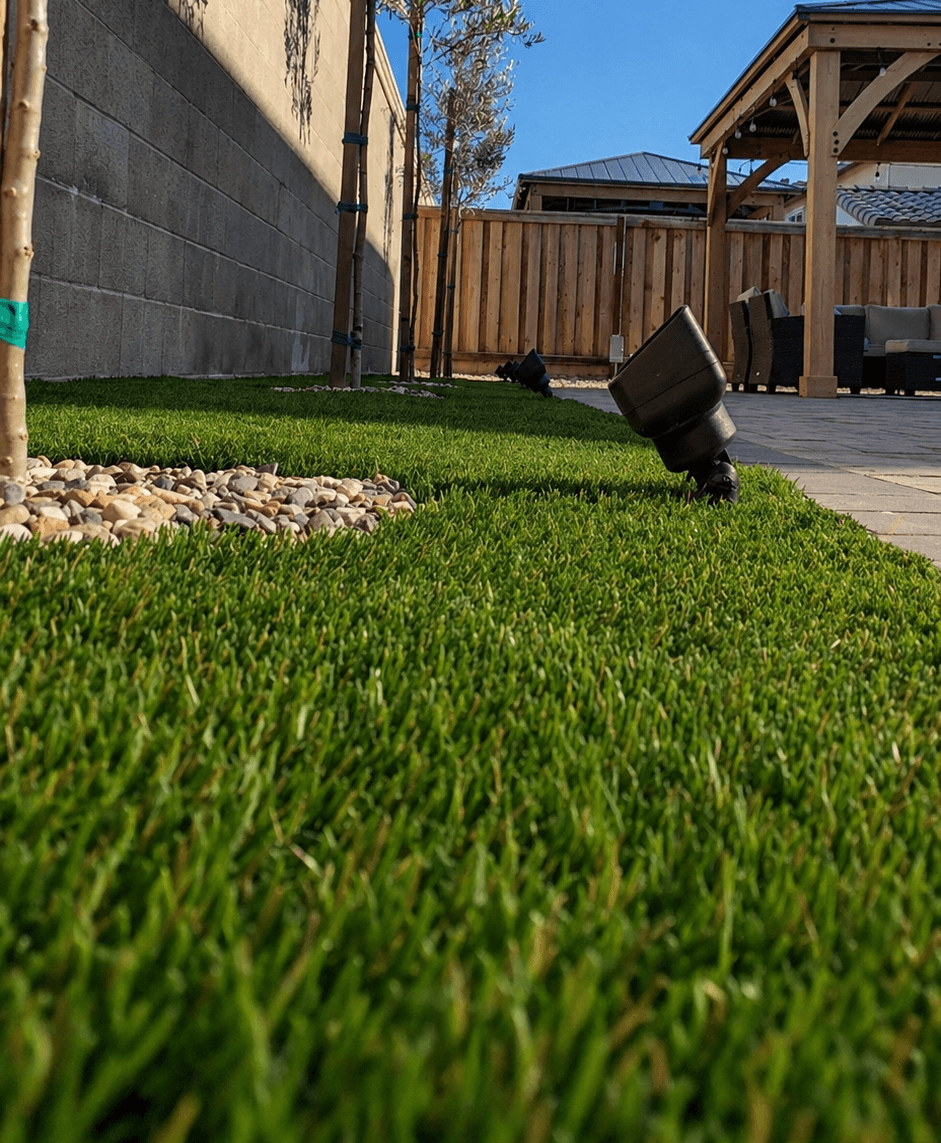 Modern Front Yard Landscape Sacramento