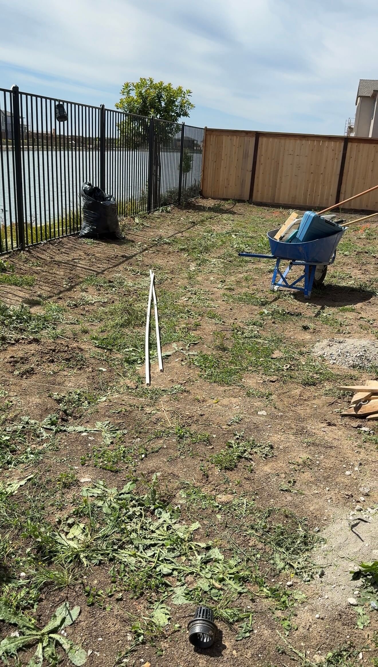 Modern Backyard Transformation Sacramento